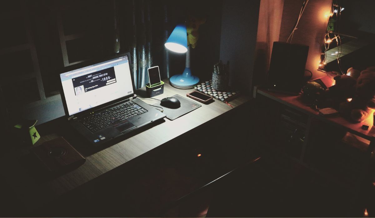 Types of Web Portals and Real-World Examples