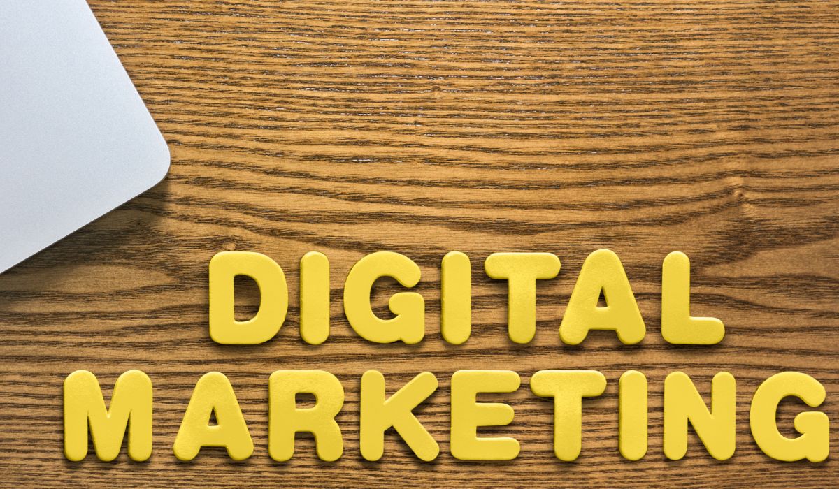 Business Listings and Backlinks Are Essential for SEO Success